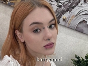 Kattyamini