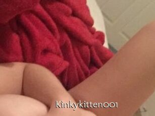 Kinkykitten001