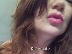Kittymate