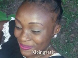 Kleingaatje