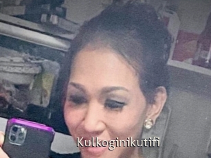 Kulkoginikutifi