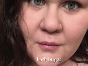 Ladybug22