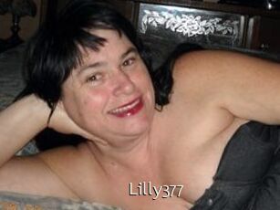 Lilly377