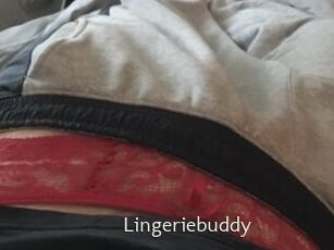 Lingeriebuddy