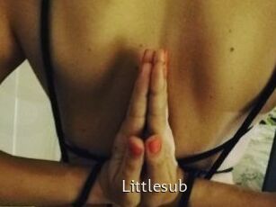 Littlesub