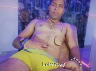 Lobato23