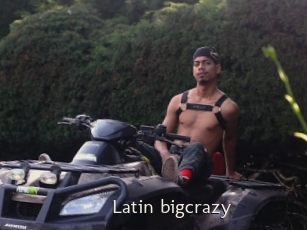 Latin_bigcrazy