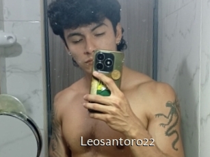 Leosantoro22
