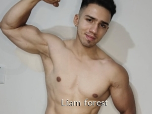 Liam_forest