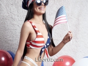 Liaortizcam