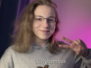 Lillybambus