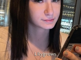 Lilygrows