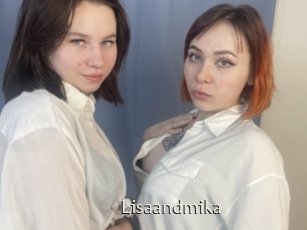 Lisaandmika