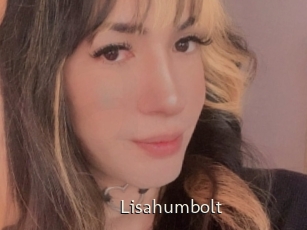 Lisahumbolt