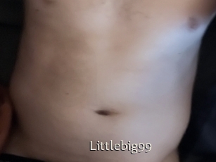 Littlebig99