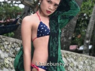 Littlebunnyts