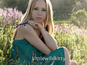 Littlewildkitty