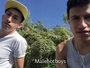 Malehotboys