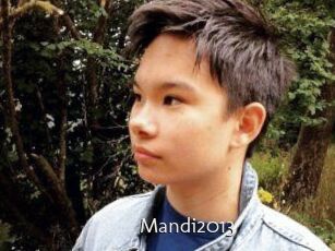 Mandi2013