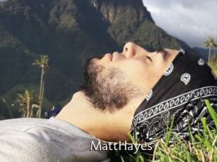 MattHayes