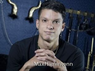 MaxHamintonn