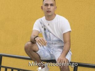 MikeSantodomingo