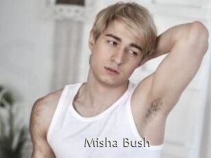 Misha_Bush