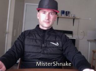 MisterShnake