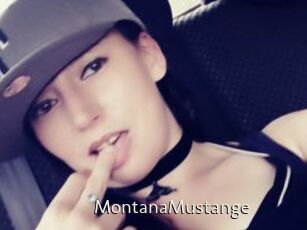 MontanaMustange