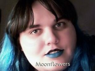 Moonflowers