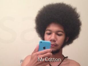 MrCotton