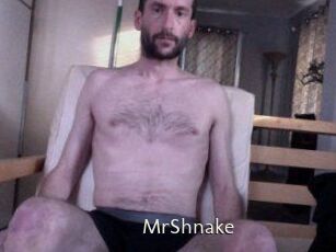 MrShnake