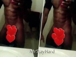 MrStayHard