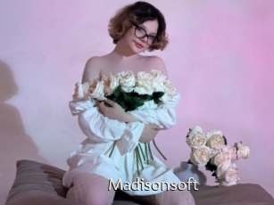 Madisonsoft