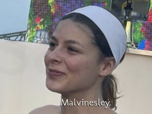 Malvinesley