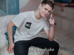 Marvinshake