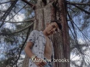 Mathew_brooks