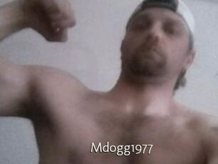 Mdogg1977