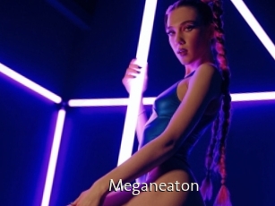 Meganeaton