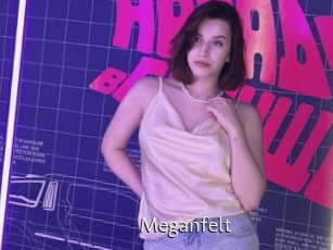 Meganfelt