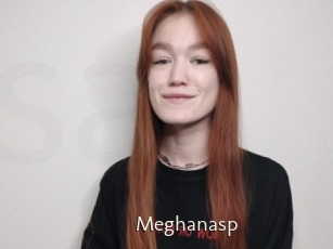 Meghanasp