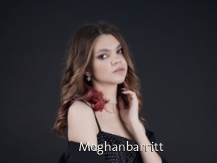 Meghanbarritt