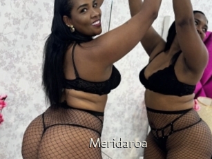 Meridaroa