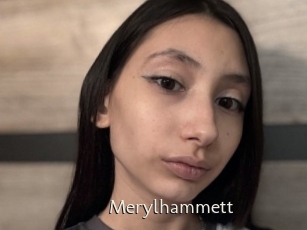 Merylhammett