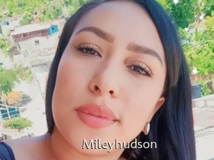 Mileyhudson