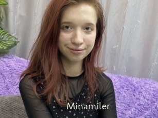 Minamiler
