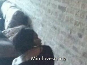Minilovesminis