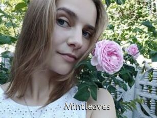 Mintleaves