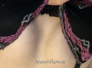 Moonflower