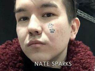 NATE_SPARKS